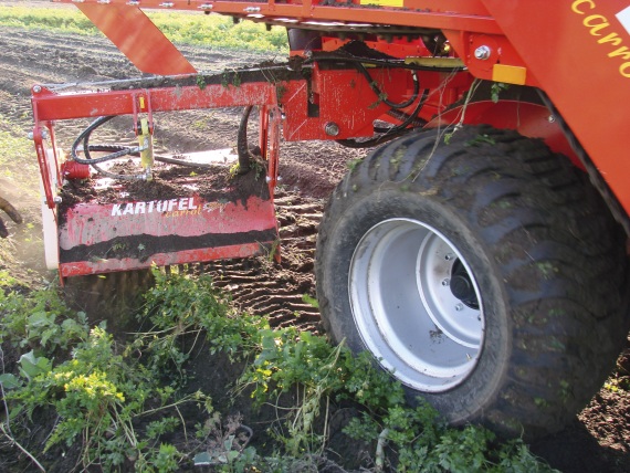 cosechadora de hortalizas en Burgos