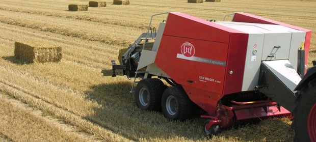 empacadoras en burgos 