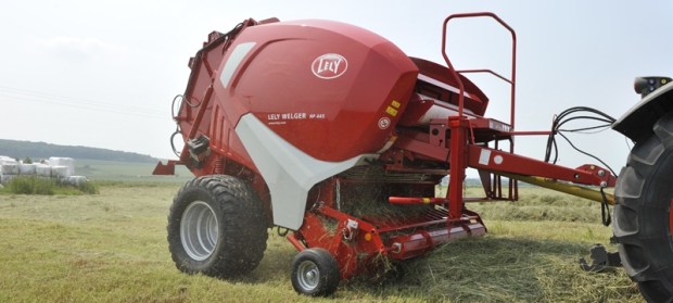empacadoras en Burgos 