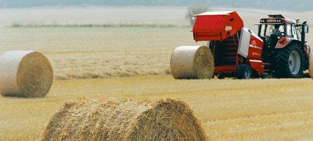empacadoras en Burgos