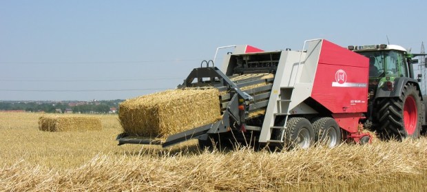 empacadoras gigantes en Burgos