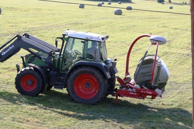encintadoras en Burgos
