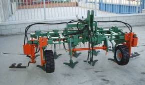 Intercepas emparrado en Burgos