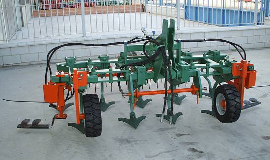 Intercepas emparrado en Burgos