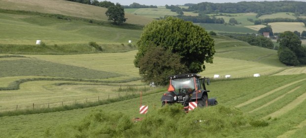rastrillos en Burgos