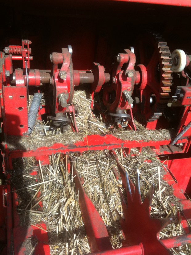 empacadoras de segunda mano en Palencia