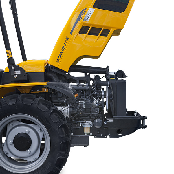 recambios para tractores Pasquali en Burgos