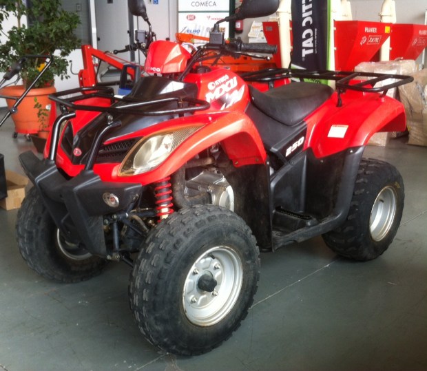 quads atv de ocasión en Burgos
